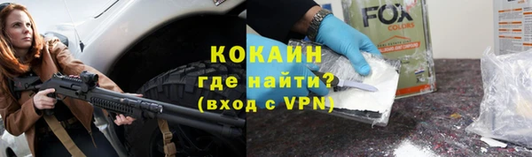 крисы Дмитров