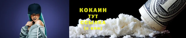 крисы Дмитров